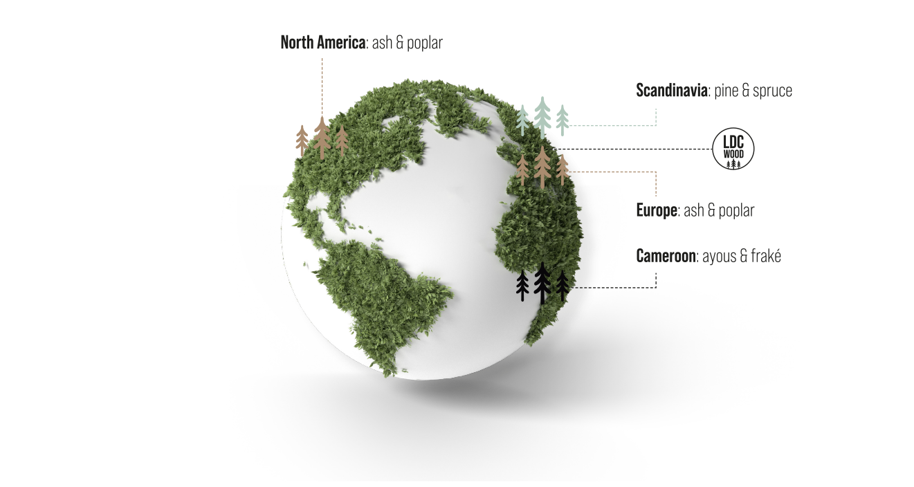 Origin of our wood
