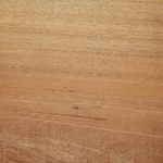 Poplar