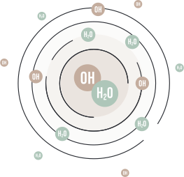 Process Scheme 1