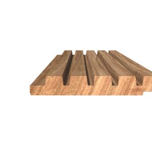 RIB5_1_1