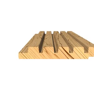 RIB5_3_1