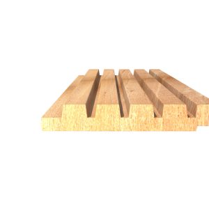 RIB5_5_1