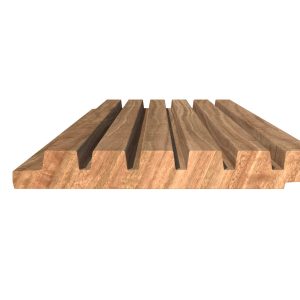 RIB6_1_1